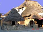 thatched houses